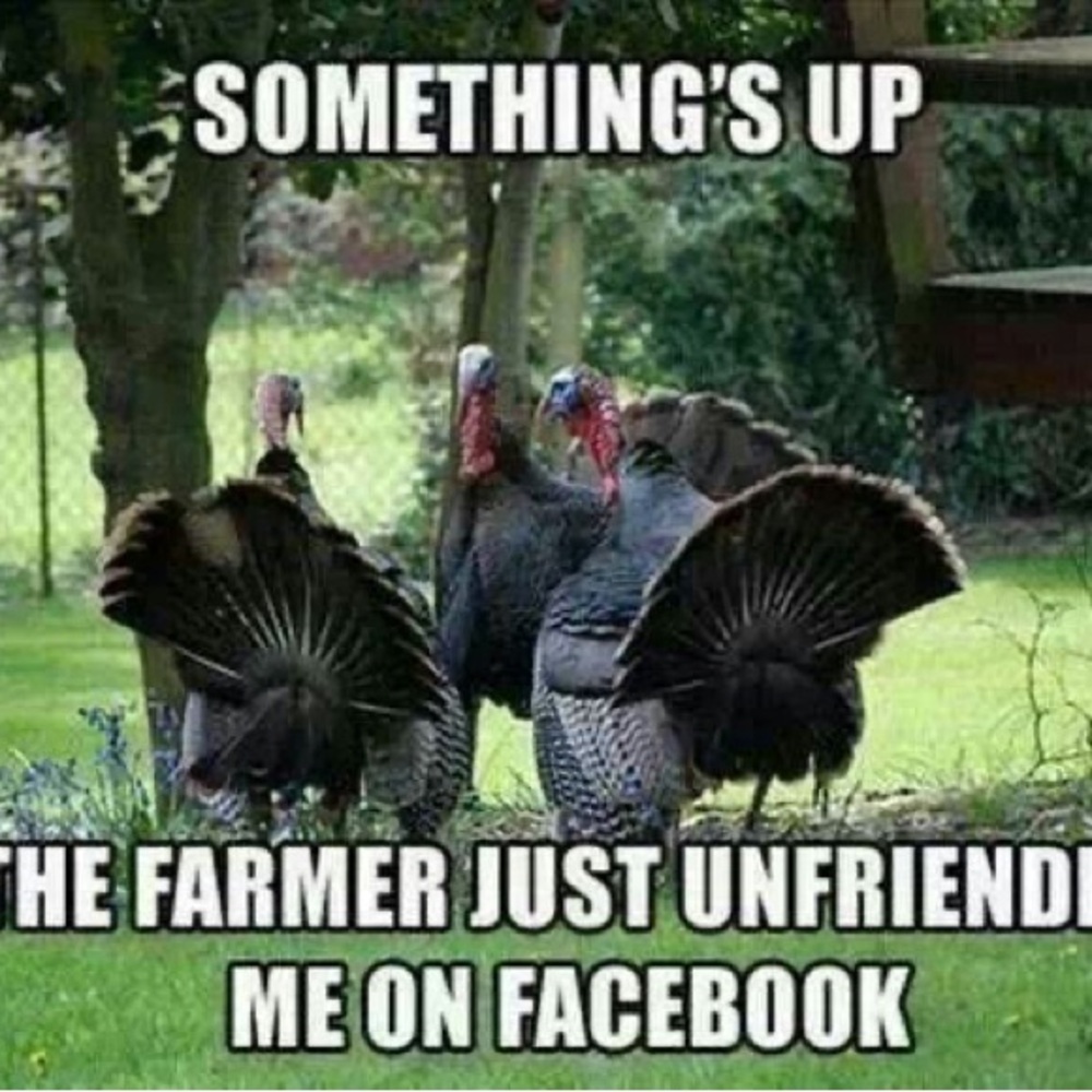 TY ALL 4 ANOTHER GREAT EVENT! SEE U NXT TIME! Happy 🦃 day! 💕 - Picture 9 of 10